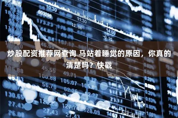 炒股配资推荐网查询 马站着睡觉的原因，你真的清楚吗？快戳