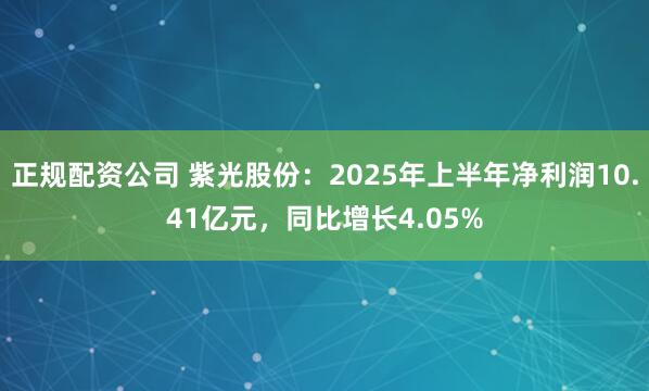 正规配资公司 紫光股份：2025年上半年净利润10.41亿元，同比增长4.05%