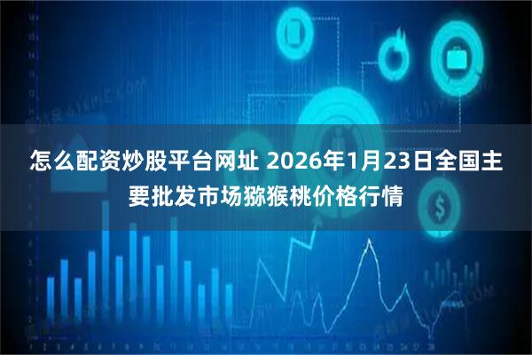 怎么配资炒股平台网址 2026年1月23日全国主要批发市场猕猴桃价格行情