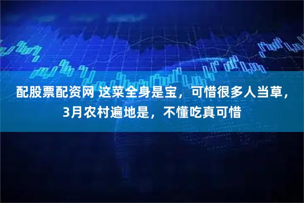 配股票配资网 这菜全身是宝，可惜很多人当草，3月农村遍地是，不懂吃真可惜